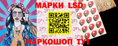 гашик Будённовск
