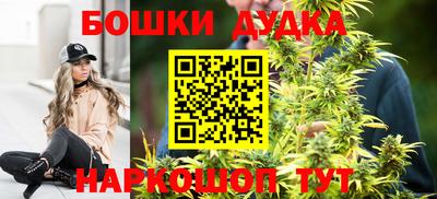 гашик Будённовск