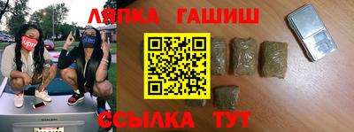 гашик Будённовск