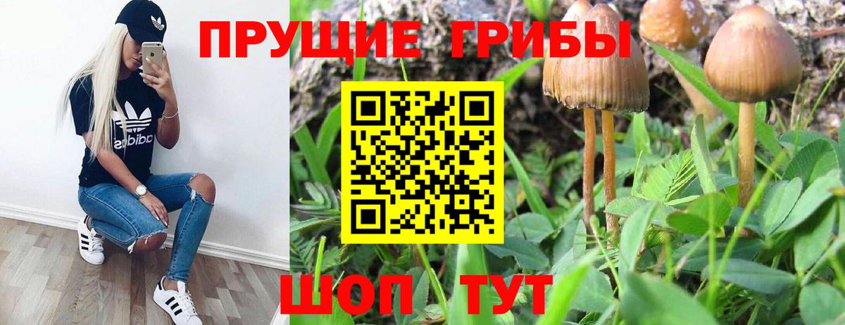 Тимашёвск  Галлюциногенные грибы Magic Shrooms  Галлюциногенные грибы GOLDEN TEACHER  Вход с VPN 