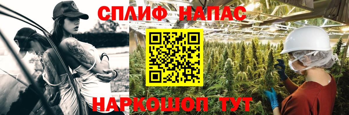 Тимашёвск  Марихуана план  Вход с VPN  Бошки Шишки сатива 